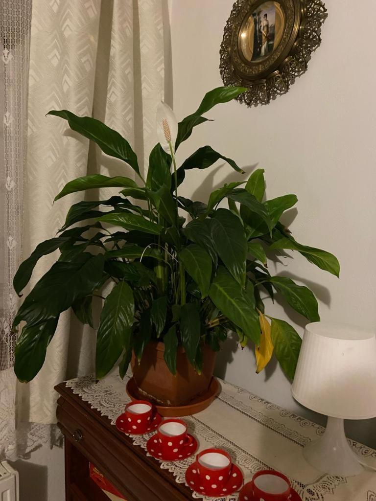 Apartmany Friday Либерц Экстерьер фото
